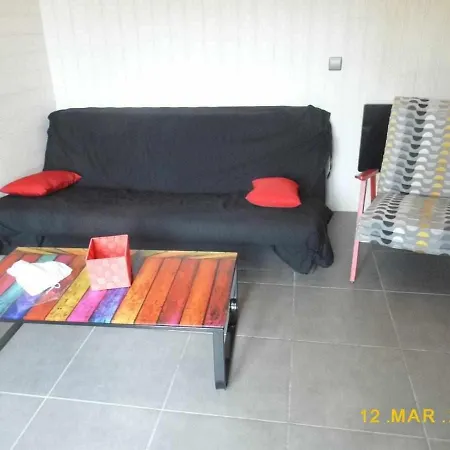 Joli Petit T4 Confortable Au Bord De Leau Vieille-Brioude