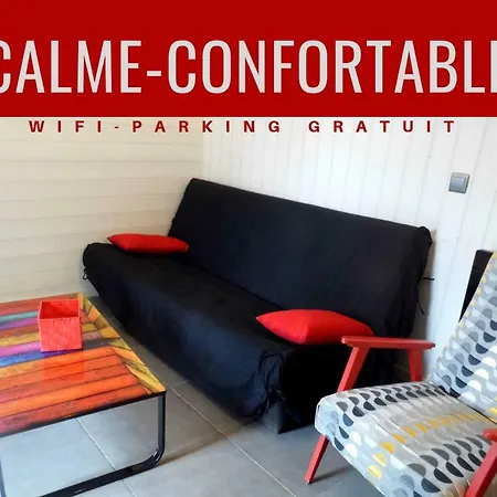 Joli Petit T4 Confortable Au Bord De Leau Vieille-Brioude